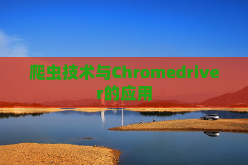 爬虫技术与Chromedriver的应用