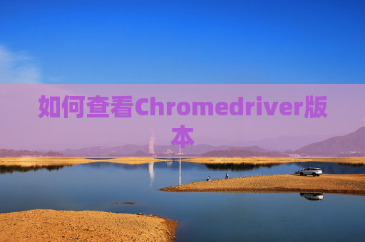 如何查看Chromedriver版本